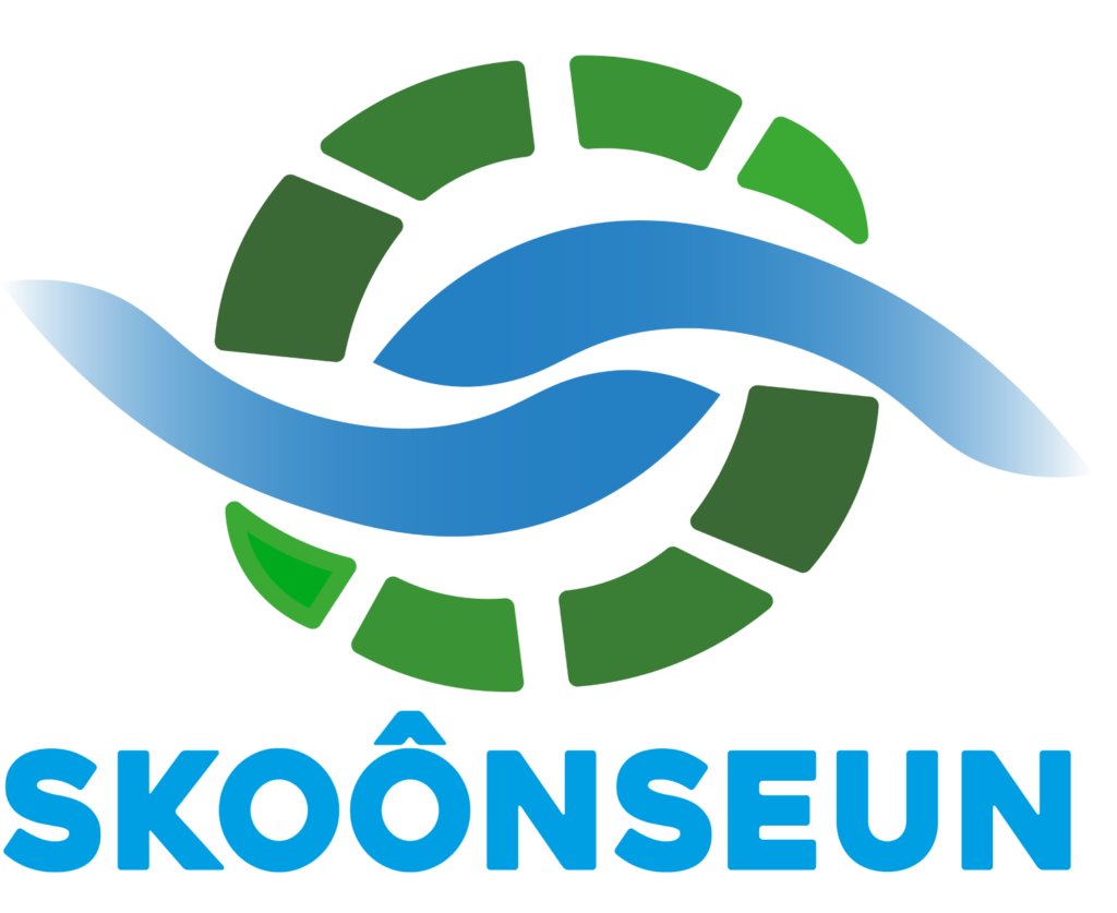 Logo Skoonseun